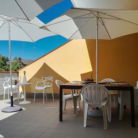 Appartamento Con Terrazza Lido delle Nazioni Dış mekan fotoğraf